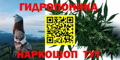 амфетамин Гай