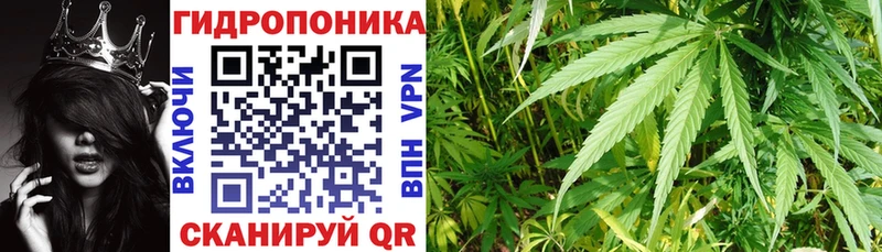 купить наркоту  Мытищи  Бошки марихуана Bruce Banner 
